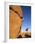 Afternoon Light on Rock and Tree, Joshua Tree National Park, California-Aaron McCoy-Framed Photographic Print