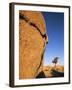 Afternoon Light on Rock and Tree, Joshua Tree National Park, California-Aaron McCoy-Framed Photographic Print