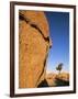 Afternoon Light on Rock and Tree, Joshua Tree National Park, California-Aaron McCoy-Framed Photographic Print