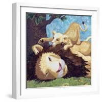 Afternoon Nap With Cub-Kestrel Michaud-Framed Giclee Print