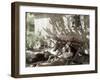 Afternoon Nap-null-Framed Photographic Print