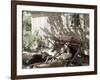 Afternoon Nap-null-Framed Photographic Print