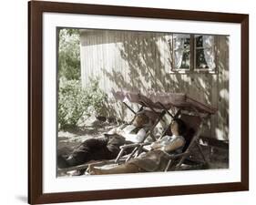 Afternoon Nap-null-Framed Photographic Print