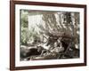 Afternoon Nap-null-Framed Photographic Print