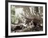 Afternoon Nap-null-Framed Photographic Print