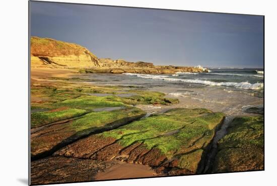 Afternoon On The Beach-Incredi-Mounted Giclee Print