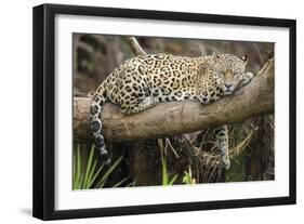 Afternoon Pause-Staffan Widstrand-Framed Giclee Print