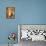 Afternoon Poppy Still Life II-Lanie Loreth-Mounted Art Print displayed on a wall