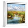 Afternoon Skies-Carol Hallock-Framed Art Print