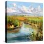 Afternoon Skies-Carol Hallock-Stretched Canvas