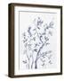 Afternoon Song Botanical II-Rikki Drotar-Framed Giclee Print