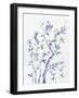 Afternoon Song Botanical II-Rikki Drotar-Framed Giclee Print