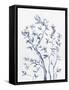 Afternoon Song Botanical III-Rikki Drotar-Framed Stretched Canvas
