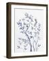 Afternoon Song Botanical III-Rikki Drotar-Framed Giclee Print