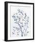 Afternoon Song Botanical III-Rikki Drotar-Framed Giclee Print