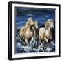 Afternoon Splash-Sydney Edmunds-Framed Giclee Print