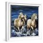 Afternoon Splash-Sydney Edmunds-Framed Giclee Print