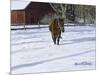 Afternoon Stroll-Bruce Dumas-Mounted Premium Giclee Print