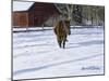 Afternoon Stroll-Bruce Dumas-Mounted Giclee Print