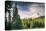 Afternoon Sun at Mount Hood Meadow, Government Camp, Oregon-Vincent James-Stretched Canvas