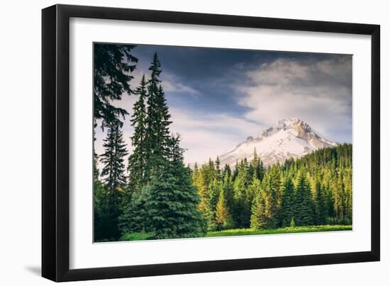 Afternoon Sun at Mount Hood Meadow, Government Camp, Oregon-Vincent James-Framed Photographic Print