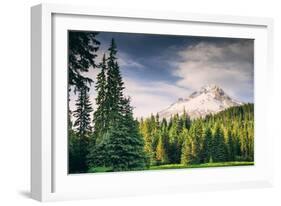 Afternoon Sun at Mount Hood Meadow, Government Camp, Oregon-Vincent James-Framed Photographic Print