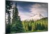 Afternoon Sun at Mount Hood Meadow, Government Camp, Oregon-Vincent James-Mounted Photographic Print