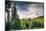 Afternoon Sun at Mount Hood Meadow, Government Camp, Oregon-Vincent James-Mounted Photographic Print