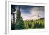 Afternoon Sun at Mount Hood Meadow, Government Camp, Oregon-Vincent James-Framed Photographic Print