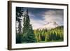 Afternoon Sun at Mount Hood Meadow, Government Camp, Oregon-Vincent James-Framed Photographic Print