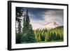 Afternoon Sun at Mount Hood Meadow, Government Camp, Oregon-Vincent James-Framed Photographic Print