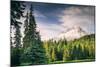 Afternoon Sun at Mount Hood Meadow, Government Camp, Oregon-Vincent James-Mounted Photographic Print