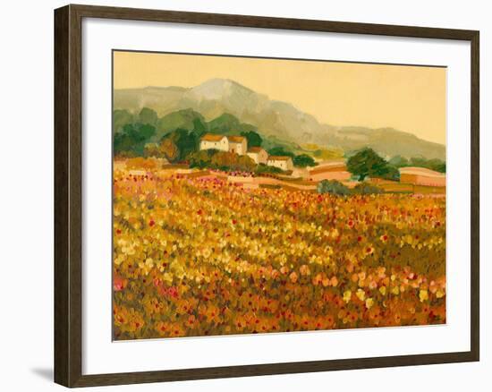 Afternoon Sun, Languedoc-Hazel Barker-Framed Giclee Print