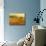 Afternoon Sun, Languedoc-Hazel Barker-Mounted Giclee Print displayed on a wall