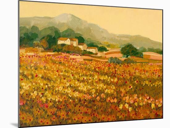 Afternoon Sun, Languedoc-Hazel Barker-Mounted Giclee Print