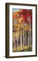 Afternoon Sunlight-Dennis Rhoades-Framed Giclee Print