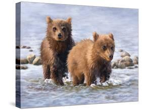 Afternoon Swim (Bear Cubs)-Molly Sims-Stretched Canvas