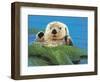 Afternoon Swim-Joh Naito-Framed Giclee Print