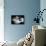 Afternoon Tea and Cakes-null-Framed Stretched Canvas displayed on a wall