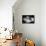 Afternoon Tea and Cakes-null-Framed Stretched Canvas displayed on a wall