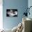 Afternoon Tea and Cakes-null-Stretched Canvas displayed on a wall