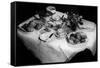 Afternoon Tea and Cakes-null-Framed Stretched Canvas