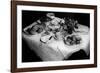 Afternoon Tea and Cakes-null-Framed Photographic Print