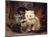 Afternoon Tea-Henriette Ronner-Knip-Mounted Giclee Print