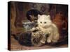 Afternoon Tea-Henriette Ronner-Knip-Stretched Canvas
