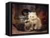 Afternoon Tea-Henriette Ronner-Knip-Framed Stretched Canvas