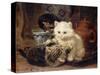 Afternoon Tea-Henriette Ronner-Knip-Stretched Canvas