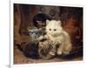 Afternoon Tea-Ronner-Knip Henriette-Framed Giclee Print