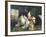 Afternoon Tea-Alexander Rossi-Framed Giclee Print