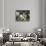 Afternoon Tea-Alexander Rossi-Giclee Print displayed on a wall